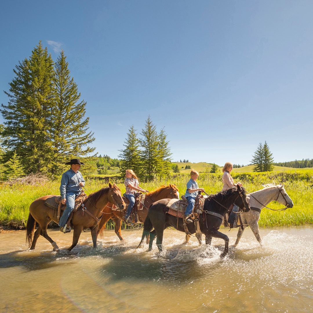 Nature education activities